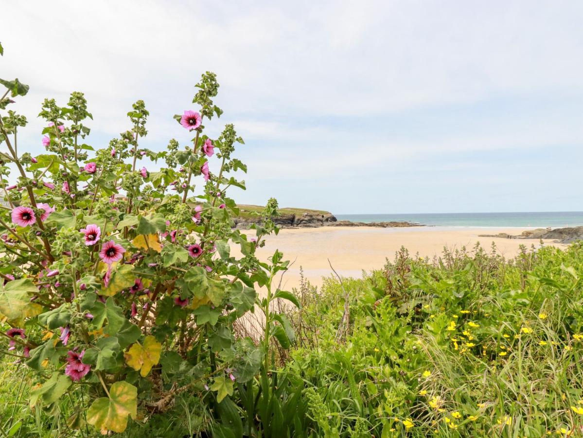 Constantine Bay Cottage Padstow Exterior foto